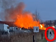 Podszedł do trawy i podłożył ogień. Kamery uchwyciły moment podpalenia