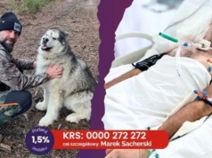 „W jednej chwili straciłam wszystko”. Dramaticzny apel Wioletty