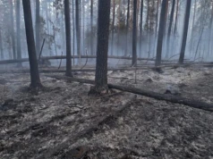 „W pamięci zostaną mi obrazy spalonych lasów, ta wyjątkowo czarna ziemia. To są naprawdę straszne widoki…”