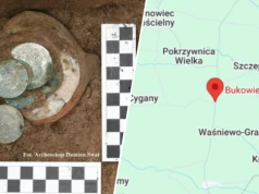 Rolnik znalazł skarb na polu. Teraz wszyscy będą mogli go podziwiać
