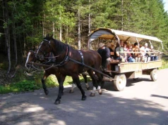 Morskie Oko. Uczulenie na koński pot może skończyć się akcją ratunkową. Mało który turysta o tym wie