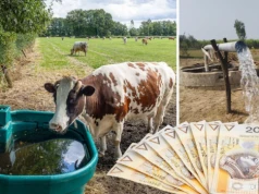 Masz studnię? Lepiej uważaj. Za pobór wody grożą kary nawet do 1 mln zł