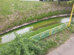 Awaria w EPEC i zielona Kumiela