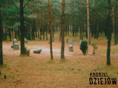Polskie Stonehenge: Co naprawdę działo się w kamiennych kręgach na Kaszubach?