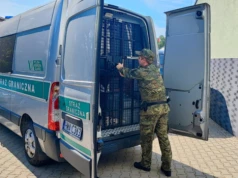 Częstochowa: Dwukrotnie prowadził po alkoholu. 48-letni Ukrainiec został deportowany