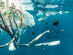 Jak przekształcić niechciany plastik w źródło czystej energii? Naukowcy znają odpowiedź
