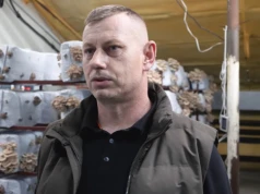 Zaczęli od kilku kilogramów. Dziś produkują do 400 ton podłoża do boczniaków tygodniowo