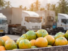 Przewóz produktów sezonowych w chłodni – jak przygotować logistykę przed szczytem zamówień?