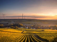 OZE może w Europie ściąć rachunki za energię prawie o połowę