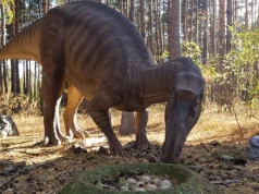Odkryli tajemnicę dinozaurów. Dzięki temu rosły w ekspresowym tempie