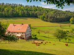 Nie hotel i nie apartament. Turyści śpią tam, gdzie kiedyś nikt nie szukał wakacji