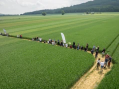 Przymrozki, susza i trudna wiosna. Zielone Pola pokażą, co dzieje się na polach