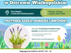 Lawenda za butelki.  Wielka Zbiórka Szkła w Ostrowie Wielkopolskim już 16 maja!