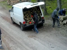 Gang w kominiarkach nagrany w lesie na Mazurach. Pakowali drewno do busa