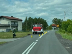 Tragiczny wypadek w powiecie oleskim. Nie żyje kobieta, którą kopnął byk