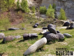 Te kamienie rosną i „rozmnażają się” od milionów lat. Naukowcy wciąż są w szoku