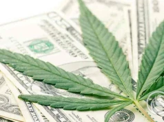 Marihuana po reklasyfikacji: wciąż daleka droga do federalnej legalizacji w USA