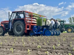 Nawet 2300 zł do hektara. Do tych upraw rolnicy dostaną największe dopłaty