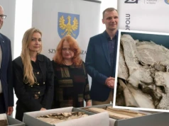 Gniazda pająków w opolskich „białych krukach”. „To częściowy destrukt”