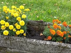 W czym wandalom przeszkadzają rabaty kwiatowe i donice w Suchej Beskidzkiej? – ZDJĘCIA