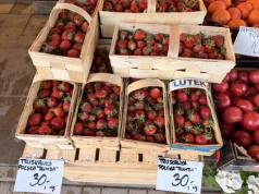 Na bazarach pojawiły się polskie truskawki. Czereśnie importowane kosztują majątek!
