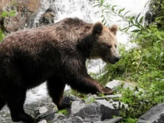 Coraz mniej turystów jedzie w Bieszczady. Wystraszyli ich politycy