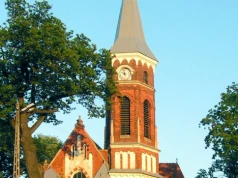 Aura zapisana w słojach