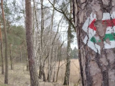 Szlaki turystyczne w Jaworznie: Jaworznicki Obszar Gospodarczy wymusza zmiany na mapie naszego miasta. Pora też odświeżyć turystyczne znaki