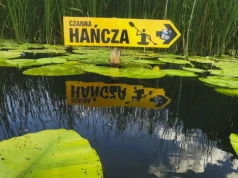 Znana rzeka i jezioro skażone zawiesiną. Polacy kochają tam pływać kajakami
