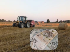 Rolnicy mogą dostać nawet 2300 zł do hektara. Najwyższe dopłaty 2026 dla tych upraw