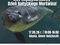 Gdynia świętuje Międzynarodowy Dzień Bałtyckiego Morświna. Na Skwerze Kościuszki moc atrakcji
