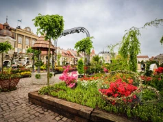 Ogrody, światło, muzyka i słowo. Przedstawiamy program Daisy Days 2026!