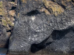 Wygląda jak rzeźba, ale stworzyła go natura. Z oceanu wyrasta gigantyczny słoń