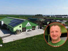 W skupie 1,80 zł za litr. Ten rolnik za mleko bierze już 4,50 zł