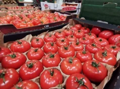 Pomidory z importu drożeją. Polska płaci już prawie 10 zł/kg