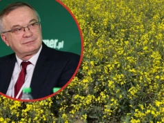 Czy warto jeszcze nawozić rzepak azotem? Ocenia prof. Szczepaniak