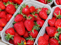 Nie płucz truskawek pod bieżącą wodą. Prosty patent utrwali smak
