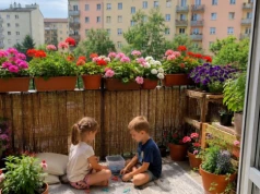 Nie masz ręki do kwiatów? Powiem ci jakie wybrać na balkon, żeby przetrwały całe lato