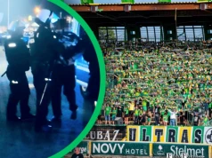 Żużel. Fani Falubazu prawie zostali napadnięci! W ruch poszły policyjne pałki i gaz!
