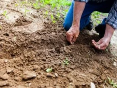Rolnik pracował 41 lat. Tyle dostaje z KRUS-u