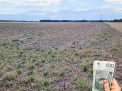 Rolnik miał polisę, po gradzie stracił połowę pomocy z ARiMR. Jest postulat zmiany przepisów