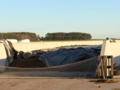 Silos na kiszonkę. Jak daleko od wód można go postawić?
