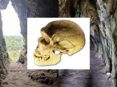 W polskiej jaskini odkryto coś niezwykłego. Ślady prowadzą do neandertalskiej matki i jej dzieci