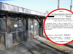 Olsztyn. Kontrowersje wokół oświadczenia majątkowego dyrektor schroniska dla zwierząt. Dom za 500 zł?