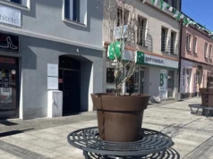 MZDiM poszukuje pracownika sezonowego do opieki nad miejską zielenią