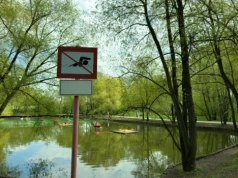 Zakaz kąpieli w niemal całej Anglii. Woda jest zagrożeniem dla zdrowia