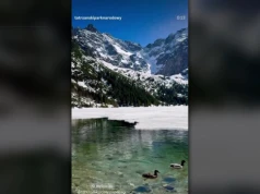 Sensacja nad Morskim Okiem. Bóbr pierwszy raz uchwycony na wideo