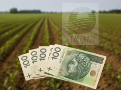 Rolnik złożył wniosek o dopłaty i oddał pole. Tu łatwo stracić pieniądze