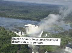 Brazylia: lasy deszczowe z najmniejszą wycinką od 40 lat