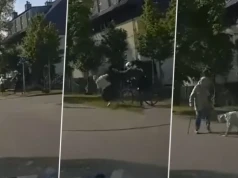 Szokujący atak we Wrocławiu! Rowerzysta powalił seniorkę